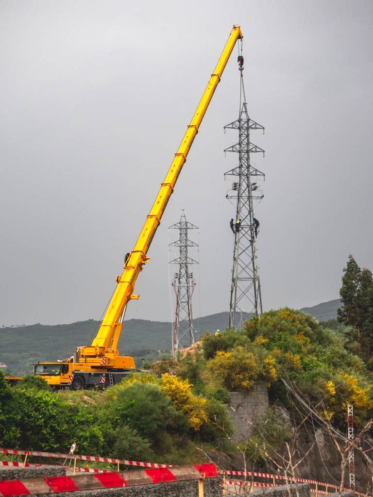 Estructura y conductores de una línea eléctrica en campo